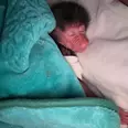 الصورة الأولى