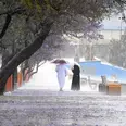 الصورة الأولى