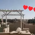 الصورة الأولى