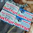 الصورة الأولى