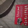 الصورة الأولى