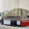 الصورة الأولى