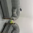 First Image