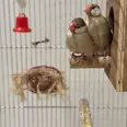 الصورة الأولى