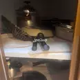 الصورة الأولى