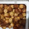 First Image
