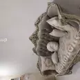الصورة الأولى