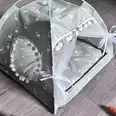 الصورة الأولى