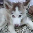 الصورة الأولى