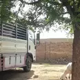 الصورة الأولى