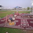 الصورة الأولى