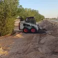 الصورة الأولى