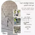 الصورة الأولى