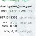الصورة الأولى