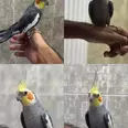 الصورة الأولى