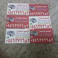 الصورة الأولى