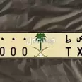 الصورة الأولى