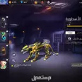 الصورة الأولى