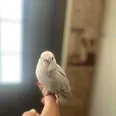 الصورة الأولى