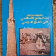الصورة الأولى