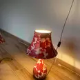 الصورة الأولى