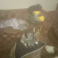 الصورة الأولى