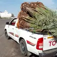 الصورة الأولى