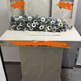 الصورة الأولى