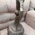 الصورة الأولى