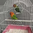First Image
