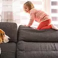 First Image