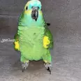 الصورة الأولى