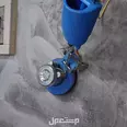 الصورة الأولى