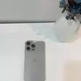 First Image