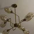 الصورة الأولى