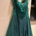 الصورة الأولى