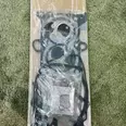 First Image