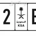 الصورة الأولى