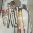 First Image