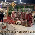 الصورة الأولى