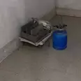 First Image