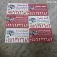 الصورة الأولى