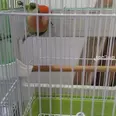 الصورة الأولى