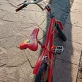 الصورة الأولى