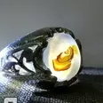 الصورة الأولى