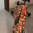 First Image