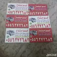 الصورة الأولى