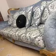 الصورة الأولى