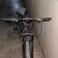 الصورة الأولى