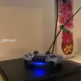 الصورة الأولى